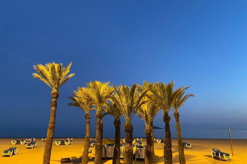 Ideal 1 بينايدورم المظهر الخارجي الصورة