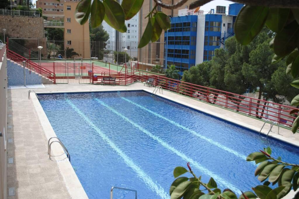 Ideal 1 بينايدورم المظهر الخارجي الصورة