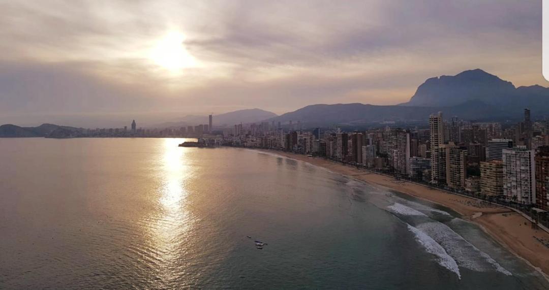 Ideal 1 بينايدورم المظهر الخارجي الصورة